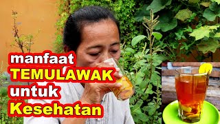 Manfaat Temulawak Untuk Kesehatan [upl. by Oetsira60]