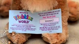 Webkinz codes 2014 see description [upl. by Amikan887]