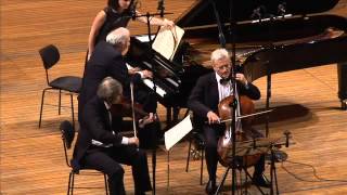 Bedrich Smetana  Trio G minor op 15 1st movement Moderato assai [upl. by Dorella]