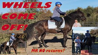 Wheels come OFF vlog 212 animals beautiful dressage equestrian cute horse goals [upl. by Lenes]