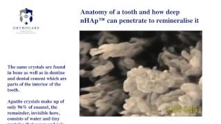 Anatomy of a tooth and nHAp™ [upl. by Rikahs]