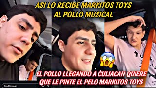 MARKITOS TOYS SE TRAJO AL POLLO MUSICAL A CULIACAN ASÍ LO RECIBE  LOS TOYS [upl. by Amberly]