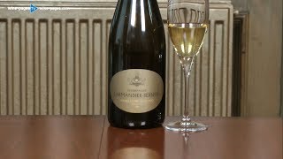 Two Sparkling Wines for Christmas 2018 wine review [upl. by Adamis]