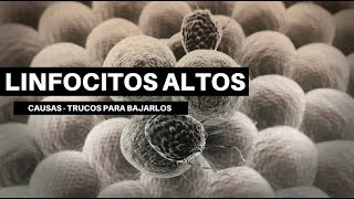 LINFOCITOS ALTOS Causas y formas de bajarlos [upl. by Enyedy]