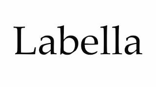 How to Pronounce Labella [upl. by Llerrahs]