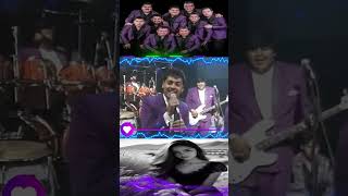 LOS INMORTALES BYBYS LosBybys musica grupero music regionalmexicano cantante cumbia dj [upl. by Lorens]