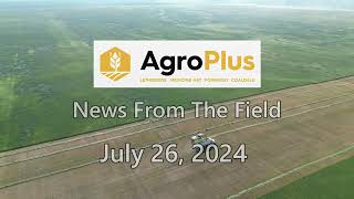 AgroPlus News from the field July 26 2024 [upl. by Borden]