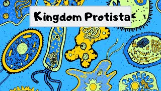 Kingdom of Protista [upl. by Laverna419]