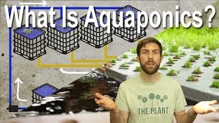 What Is Aquaponics  Plant Chicago NFP Explains [upl. by Heisel]