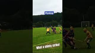 shinty camanachd what a goal glengarry strathstrong strathglass matt jones 🎥 [upl. by Aidroc]