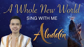 A Whole New World  Mena Part Instrumental  Aladdin [upl. by Kathie609]