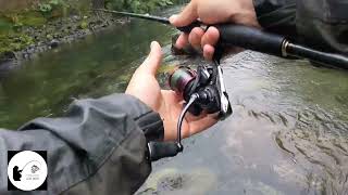 Pesca en el Río Trafun🎣🎣 río precordillerano 🏞 [upl. by Assecnirp111]