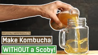 How to make Kombucha WITHOUT a Scoby  Kombucha Homemade Recipe  Healthy Probiotic Drink  DIY [upl. by Iteerp]