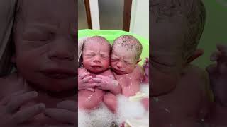 New Born Twins Babies baby newmother newchild cutebaby cute newparents bebe newmommysjourney [upl. by Zenda172]