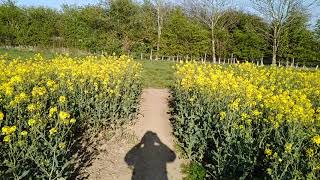 Walk from Leconfield to Beverley 19th April 2019 [upl. by Hyman]