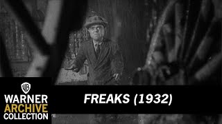 Freaks 1932  The Wedding Feast Scene [upl. by Nairred]