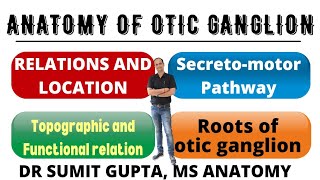 OTIC GANGLION  Anatomy  Roots  Secretomotor pathway [upl. by Kcirad]