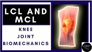 Ligaments Of Knee Joint LCL and MCL Knee Joint Biomechanics Physiotherapy Tutorials [upl. by Berneta817]