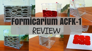 Ants Russia Store  Formicarium ACFK1 Review [upl. by Cottrell]