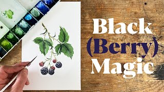 Painting Juicy Blackberries in Watercolor  Step by Step Tutorial [upl. by Aonian]