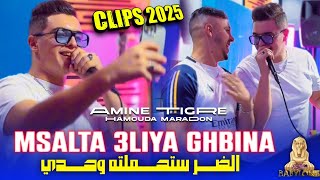 Cheb Amine Tigre 2024 Feat Hamouda Maradon Msalta 3liya Ghbinaالضر ستحملته وحدي© Clips Officiel [upl. by Yonita]