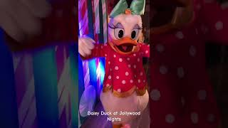 We Meet Daisy Duck in Her NEW Disney Jollywood Nights Costume at Disney’s Hollywood Studios [upl. by Ynnos450]