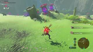 Funny LOZ BOTW hard mode enabled moment [upl. by Nytsrik]