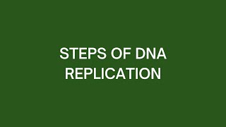 Steps of DNA Replication [upl. by Kafka411]