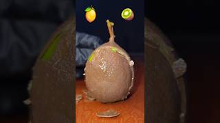 Was drin ist Zitrone oder Kiwi [upl. by Ocker]