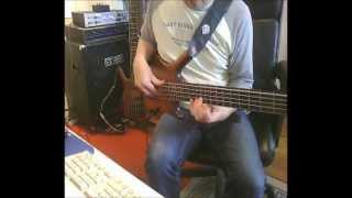 Shape of my Heart Cover Bass Solo [upl. by Vasilek]