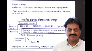 First Year Biology  Chapter 1  Part 6  Phyletic Lineage [upl. by Eob]