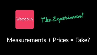 Are the measurements and prices FAKE Is Wegobuy lying to us [upl. by Nynahs]