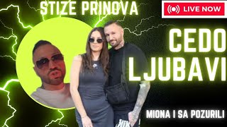 STIZE PRINOVA Miona Jovanovic i Nenad Aleksica Sa nisu casili casa dolazi cedo ljubavi ELITA 8 [upl. by Jone966]