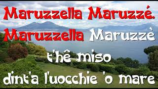 Arbore Renzo  Maruzzella Karaoke [upl. by Daney790]