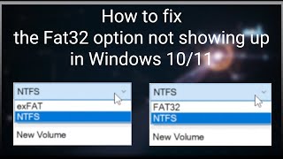 How to Fix the FAT32 Option Not Showing Up in Windows 1011 [upl. by Dnomad147]