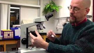 Introduction to the compound light microscope [upl. by Aniweta]