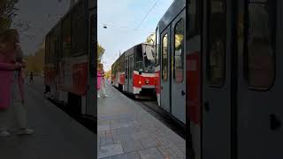 Příjezd tramvaje ČKD DS T6A5 evč 1237  1238 do zastávky Česká [upl. by Leilani]