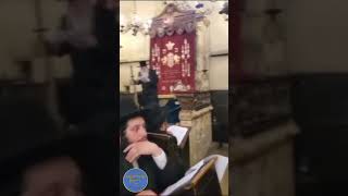 Liminov Rebbe Singing In The Maharals Shul In Prague  Nissan 5784 [upl. by Adlih]