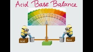 Basics of Acid Base Balance [upl. by Halika]