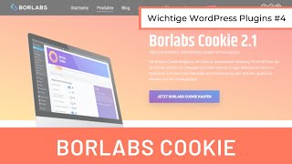 Das beste DSGVO Plugin Einblick in Borlabs Cookie  WordPress Plugins 4 [upl. by Pascoe]