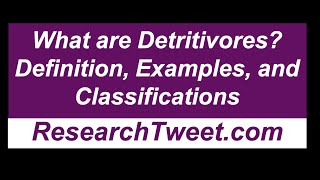 What are Detritivores Definition Examples and Classifications [upl. by Oralle]