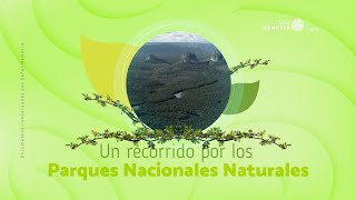 El Parque Nacional Natural Serranía de Chiribiquete y su patrimonio biológico y cultural [upl. by Docilu808]