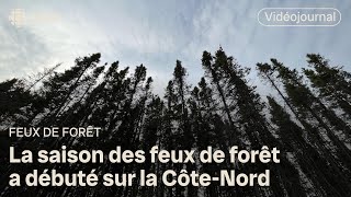 Déjà des feux de forêt sur la CôteNord  Vidéojournal [upl. by Sterling]