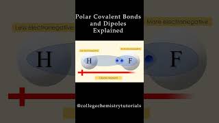 Polar Covalent Bonds Explained [upl. by Nnave]