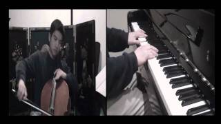 Adele Someone Like You  Cello Cover [upl. by Prud673]