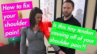 Shoulder Pain Fix For Bicep Tendon FAST  Chiropractor Friendswood [upl. by Aerua649]