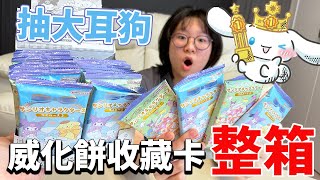 【開箱】為了抽中大耳狗 買了整箱三麗鷗威化餅卡牌盲袋 我們抽中了嗎 咕卡 盲盒 盲袋NyoNyoTV妞妞TV [upl. by Tnecnivleahcim]