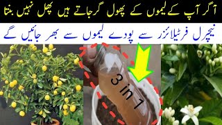 Best fertilizer for lemon flowering and fruiting  How to fertilize potted lemon plants more fruit [upl. by Ihsir406]