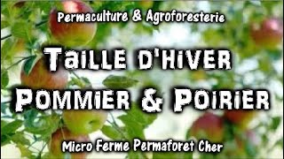 TAILLE DHIVER POMMIER et POIRIER AU VERGER DU JARDIN EN PERMACULTURE documentaire nature [upl. by Moitoso]