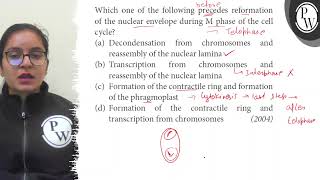 Which one of the following precedes reformation of the nuclear envelope during M phase of the cel [upl. by Nairde517]